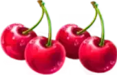 Cherries symbol paytable Pink Clovers XXXL