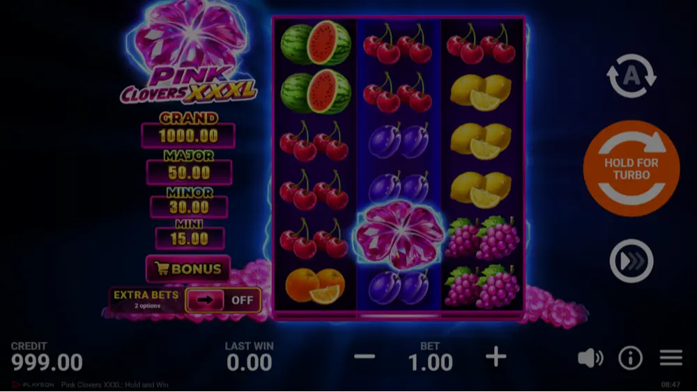 Pink Clovers XXXL: Hold and Win demo play